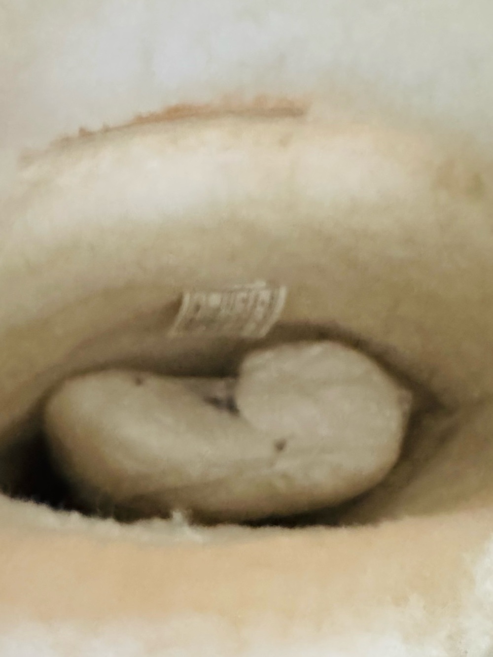 Subcategory identification - Picture 5 of 7